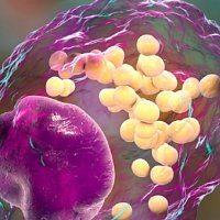 8. Česká lipidomická a metabolomická konference